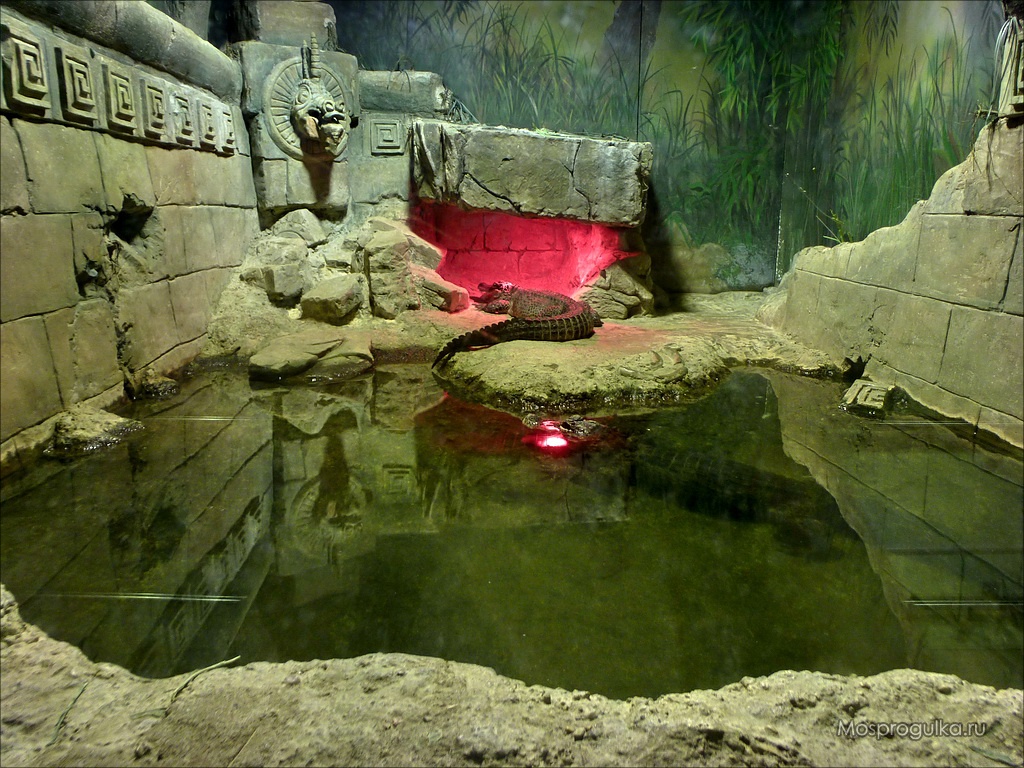 Террариум Московского зоопарка