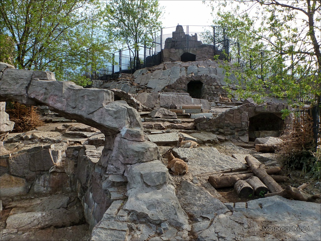 Турья Горка в Московском зоопарке