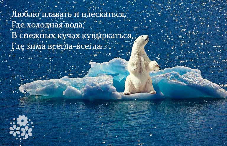 пазл полярный медведь