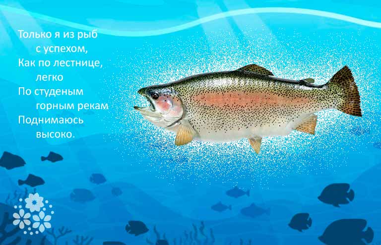 пазл с рыбками для детей