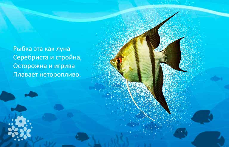 загадки с рыбками для дошкольников