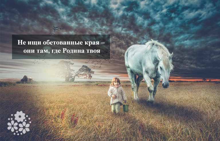 Пословицы и поговорки о родине разных народов мира