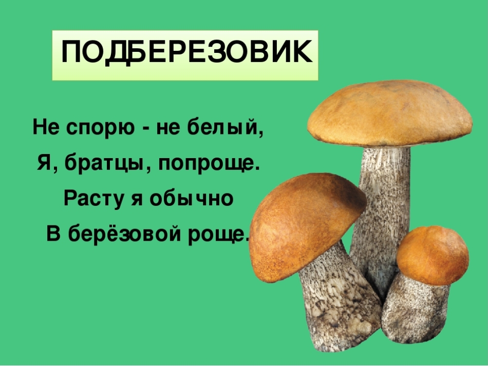 Загадка с лисичками