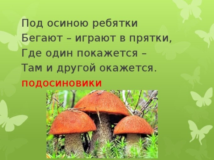 Загадки о грибах для школьников - 1-2 класс