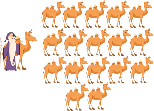 математическая головоломка с верблюдами