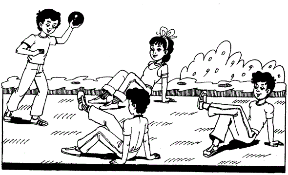 Креветка футбольная