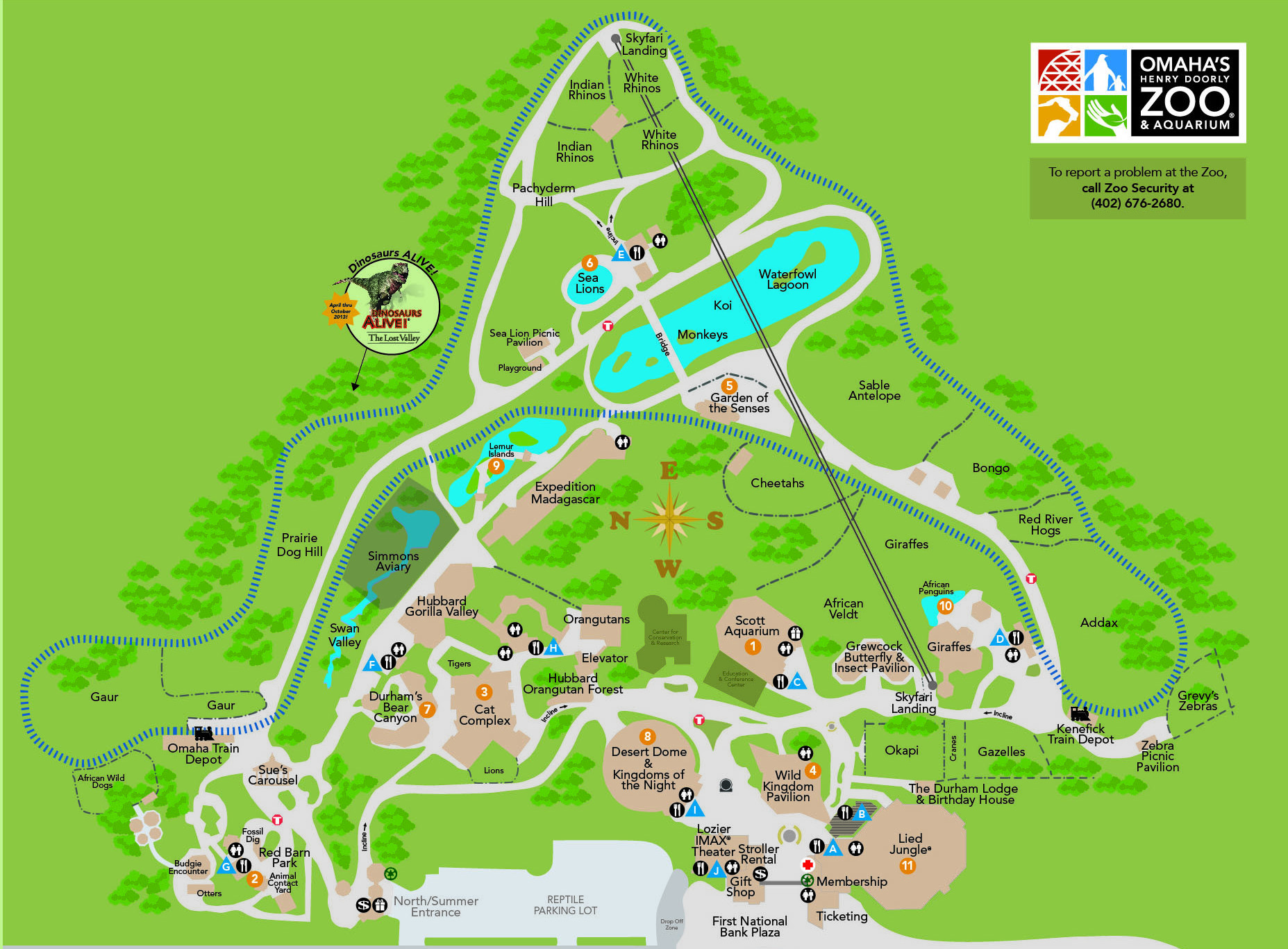 Наедине с природой: 8 лучших зоопарков мира