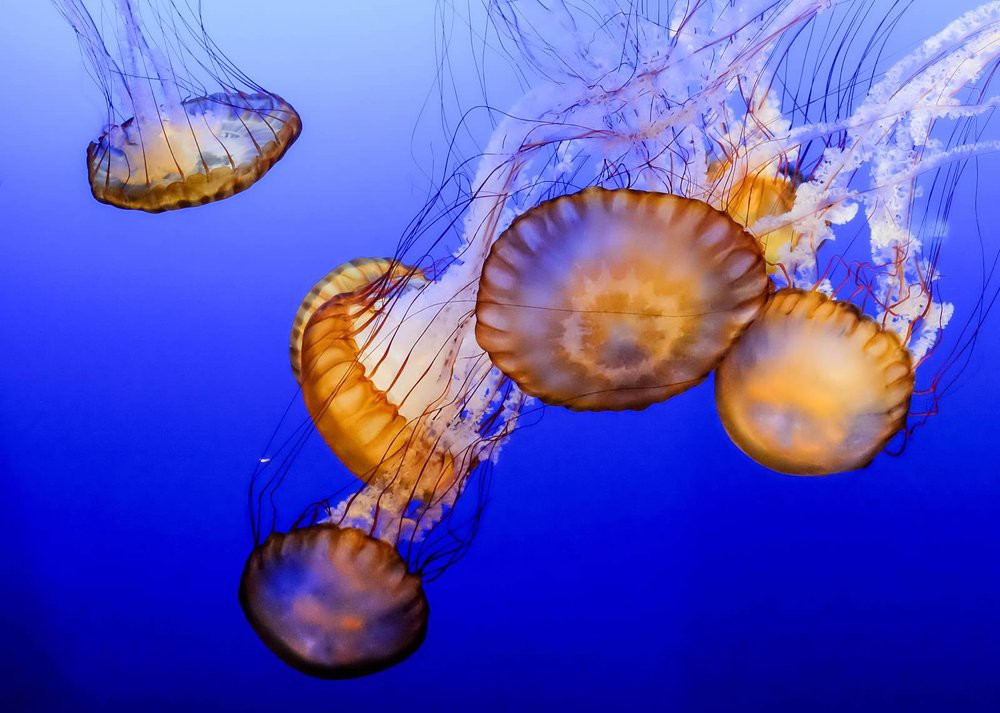 Наедине с природой: 8 лучших зоопарков мира