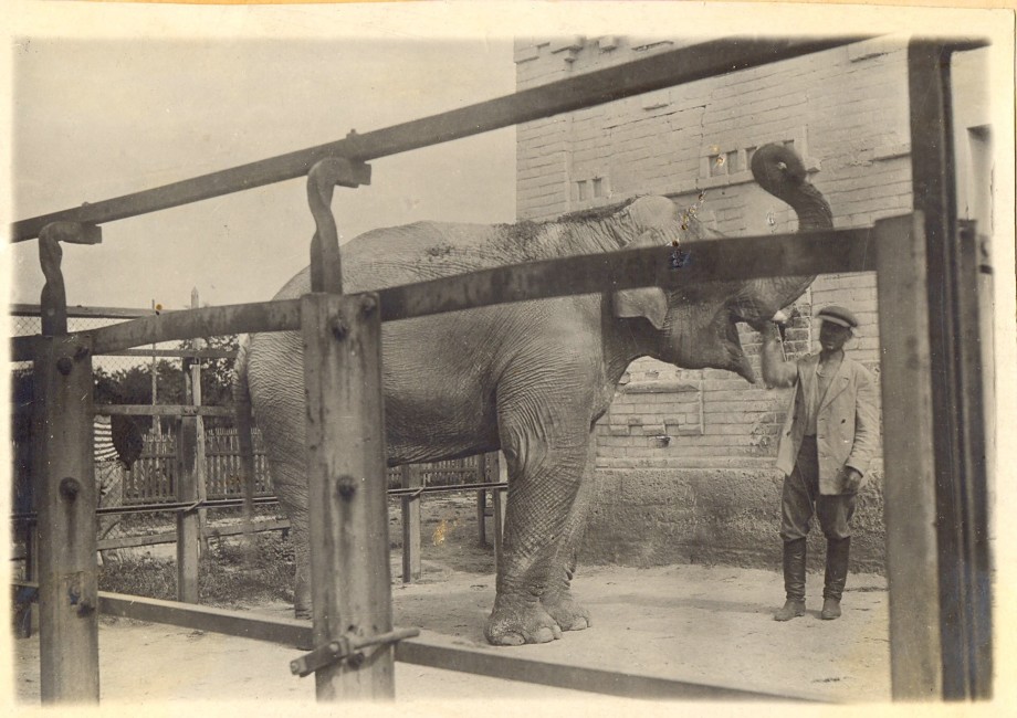 Мир животных: все самое интересное в Московском зоопарке