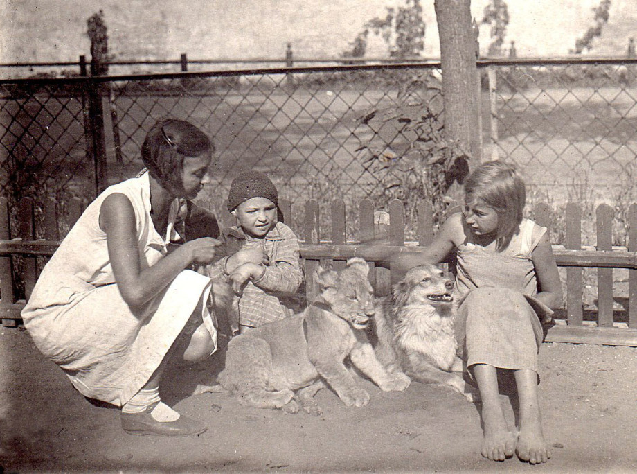 Мир животных: все самое интересное в Московском зоопарке