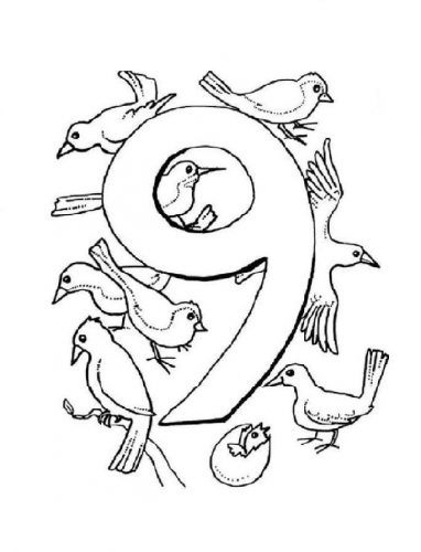 номер 9 раскрасить