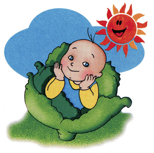 111148_html_232a831d