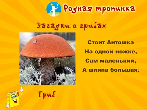 Загадки о грибах: загадка 1.