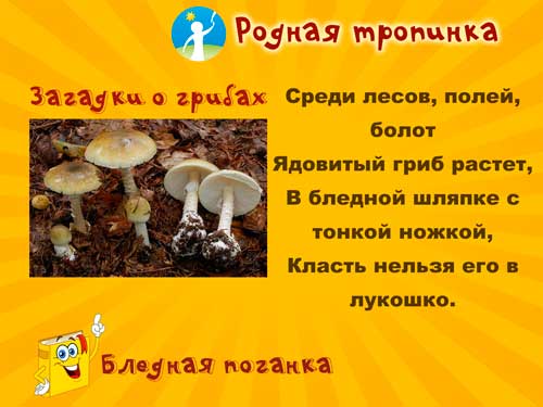 Загадки о грибах. Шляпа смерти.