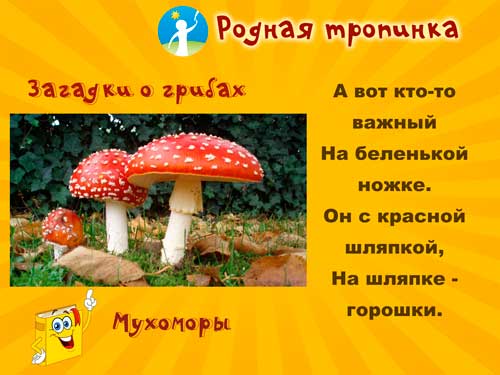 Загадки о грибах - мухомор