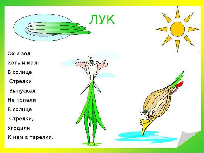 Загадка лука