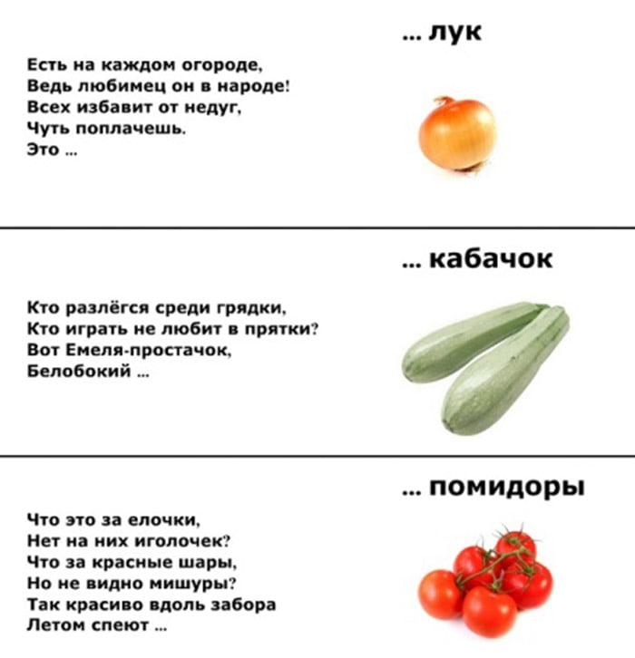 Загадки про лук, кабачки, помидоры