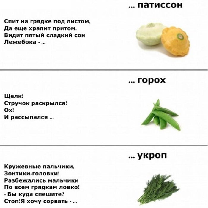 Загадки про тыкву, горох, укроп