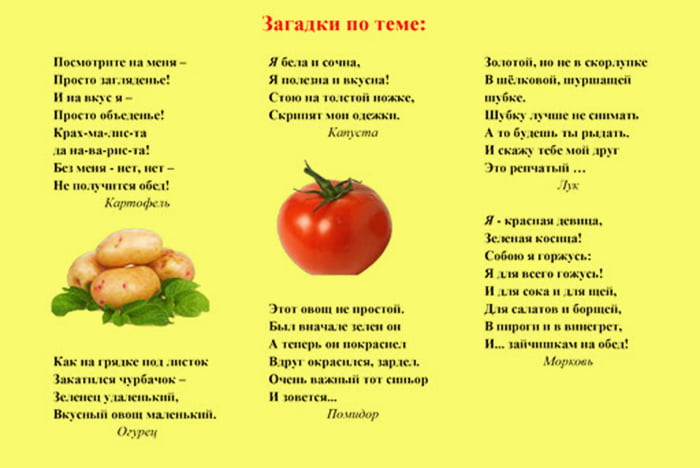 Загадки про овощи для школьников