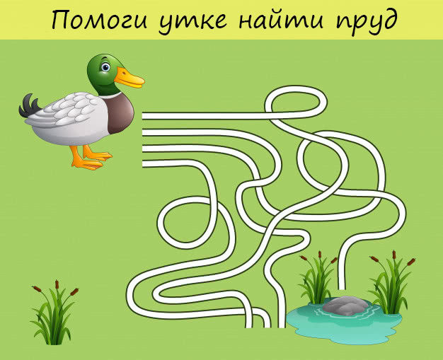 Домашнее задание по логике и домашнее задание по математике для детей 5-6 лет (бесплатная распечатка)